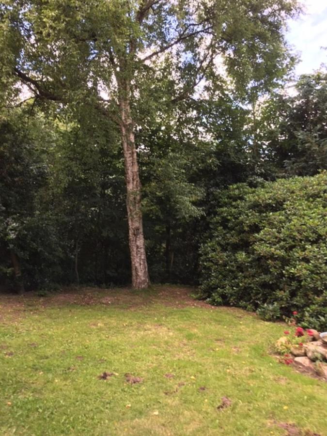 Muehlenweg- Tante Lise Apartment Süderlügum Bagian luar foto
